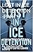 LOST IN ICE DETENTION -PART 3: AWAITING TRIAL (LOST IN ICE DETENTION PART 1)