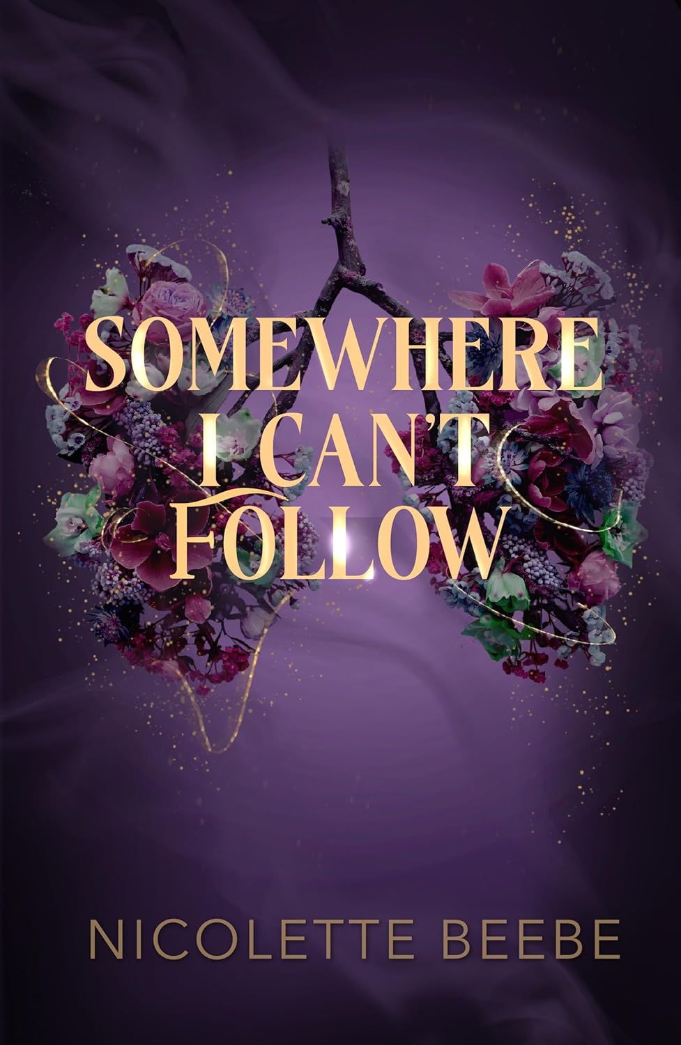 Somewhere I Can't Follow