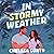 In Stormy Weather: The BRAND-NEW for 2026 scorching hot, rivals to lovers romance from the bestselling author of THE DC STARS series!