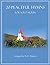 20 Peaceful Hymns for Solo Violin