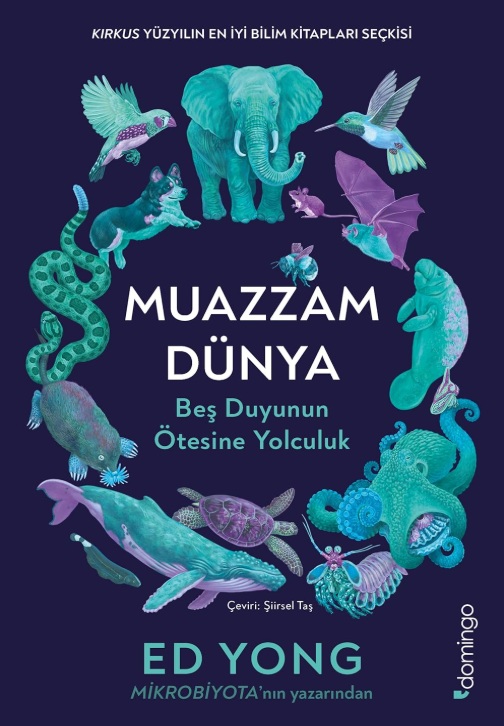 Muazzam Dünya: Beş Duyunun Ötesine Yolculuk