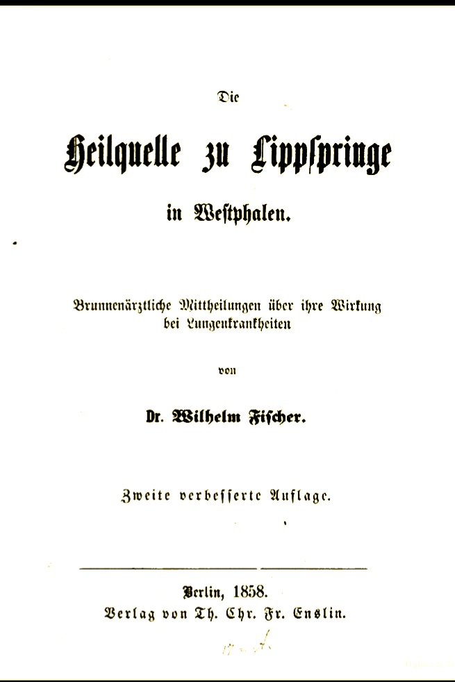 Die Heilquellen Zu Lippspringe in Westphalen: Mittheilungen Über Ihre Wirkung Bei Lungenkrankheiten (Unknown Binding)