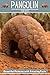 Pangolin for Kids: Beautiful Pictures with Amazing Facts
