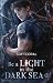 Be a Light in the Dark Sea 4