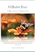 O Happy Day!: Walking in God's Love Throughout the Day