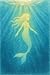 A Mermaid’s Tale