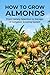 How to Grow Almonds: From Variety Selection to Storage: A Complete Growing System