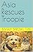 Asia Rescues Troopie (Asia Mae’s Adventures)