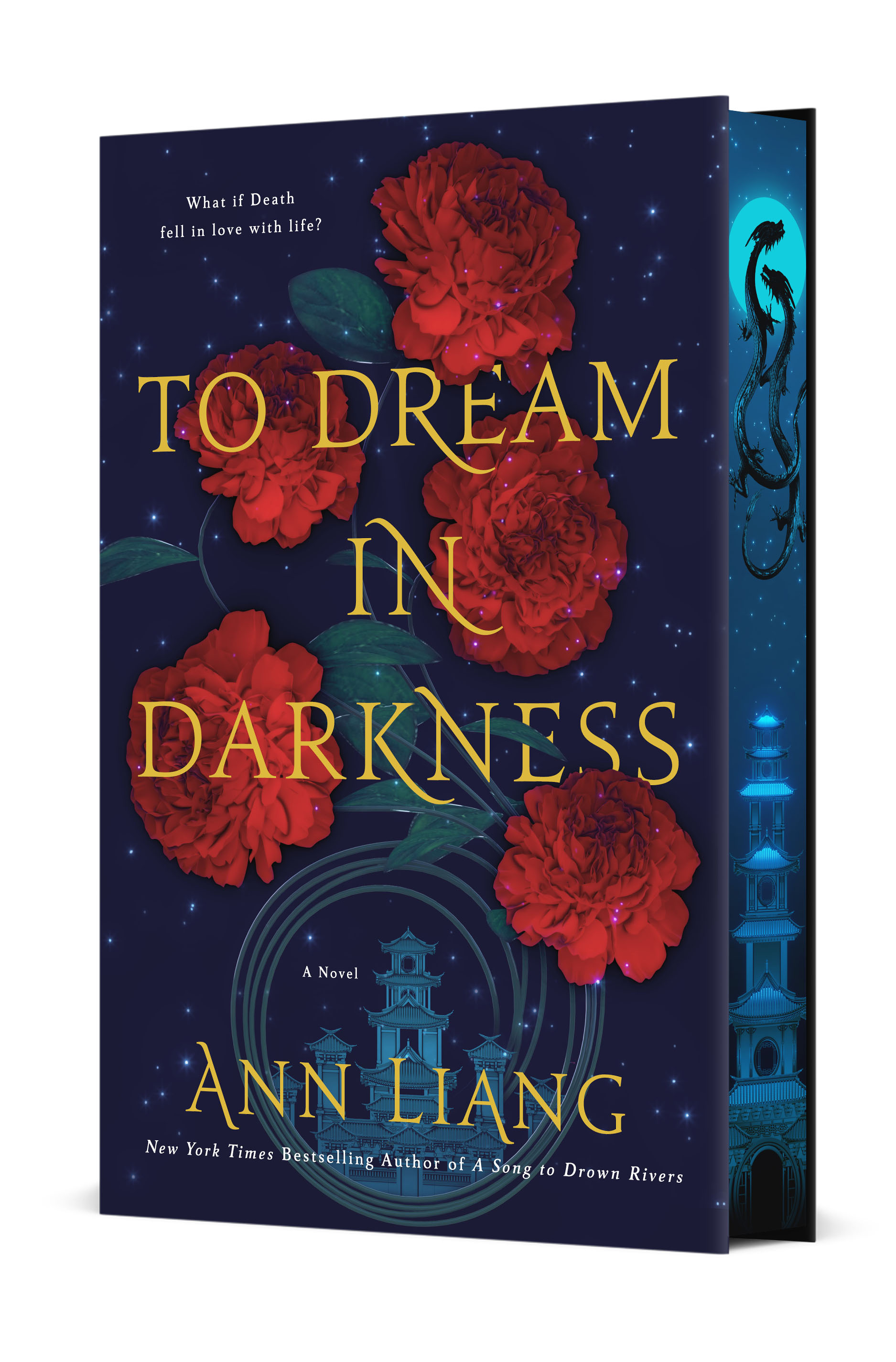To Dream in Darkness (Hardcover)