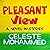 Pleasantview