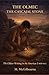 THE OLMEC The Cascajal Stone: The Oldest Writing in the Americas | 900 BCE (Beyond His Story We Stand)