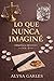 LO QUE NUNCA IMAGINÉ (DESTINO nº 2) (Spanish Edition)