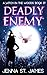 Deadly Enemy (A Witch in the Woods Book 37)