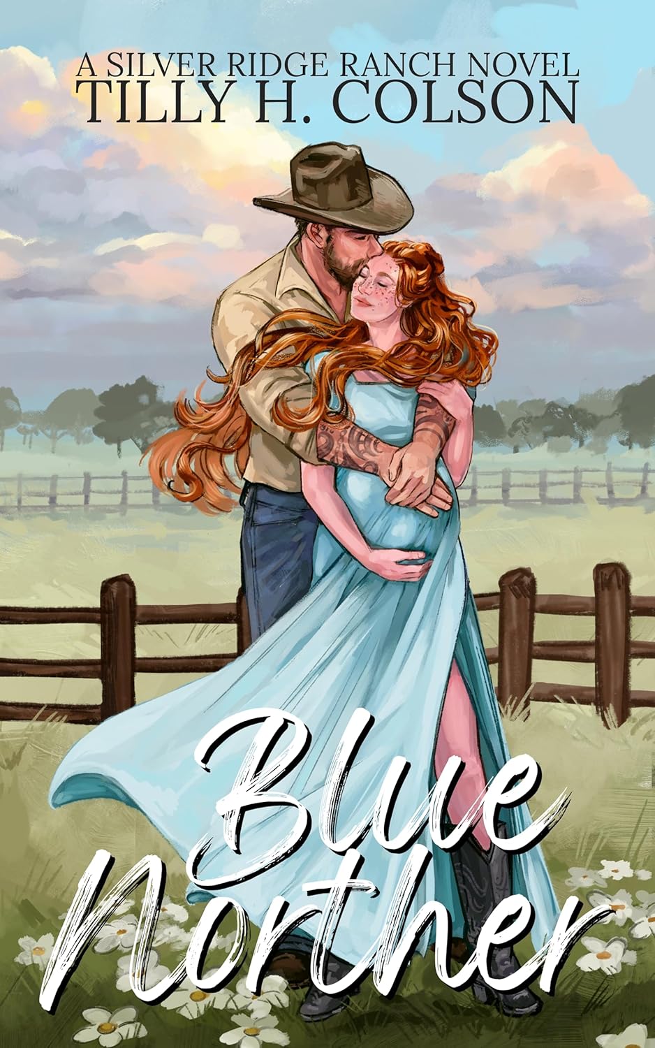 Blue Norther (Silver Ridge Ranch, #1)