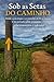 Sob as Setas do Caminho: Onde a Psicologia e o Caminho da Fé se cruzam. (Portuguese Edition)