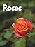 Roses Art and Design Book Showcasing 100 Stunning Images of Closed Rose Buds and Beautiful Bouquet Arrangements for Garden Inspiration, Modern Interior Decoration, and Stylish Home Display