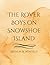 The Rover Boys on Snowshoe Island: A Classic Winter Adventure of Courage, Mystery, and Brotherhood in the Frozen North