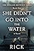 The Hollow Between Tides: She Didn't Go Into the Water-A Psychological Mystery Thriller About a Missing Woman, Dark Secrets, and a Small Town Investigation