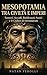 Mesopotamia tra civiltà e imperi: Sumeri, Accadi, Babilonesi, Assiri e il Codice di Hammurabi (Italian Edition)