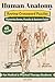 Human Anatomy: Review Crossword Puzzles for Medical & Physical Therapy Students