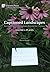 Captioned Landscapes: Intermedial Combinations Beyond the Human: Volume 1: Places (Curating and Interpreting Culture)