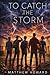 To Catch the Storm: A Willow Oaks Young Adult Novella