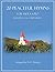 20 Peaceful Hymns for Viola Solo with Piano Accompaniment
