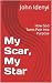 My Scar, My Star : How God ...