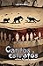 Cantos y estratos: Relatos del suelo antiguo (Spanish Edition)