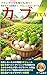 How to Grow Turnips: From Soil Preparation Sowing and Thinning to Harvest A Guide to Growing Turnips Even in Containers (Japanese Edition)
