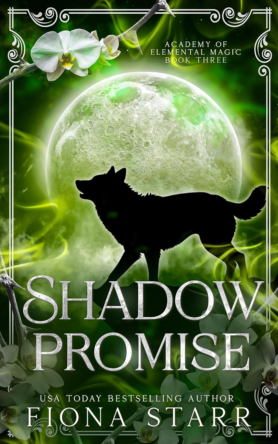 Shadow Promise (Academy of Elemental Magic #3)