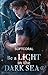 Be a Light in the Dark Sea 4: Die dystopische Found Family-Light Novel (German Edition)