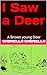 I Saw a Deer : A Brown young Deer