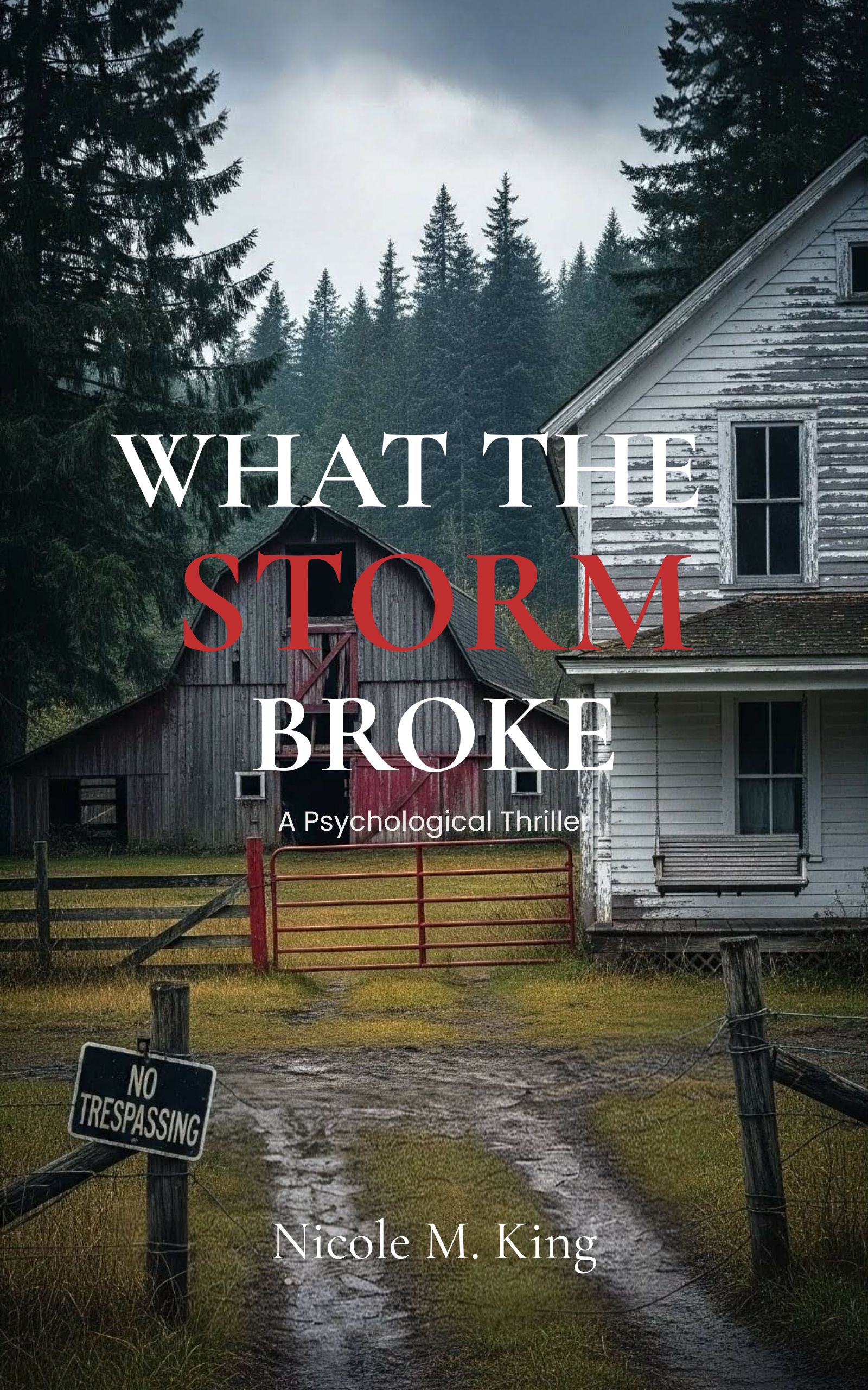 What The Storm Broke