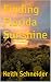 Finding Florida Sunshine