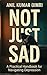 NOT JUST SAD: A Practical Handbook for Navigating Depression