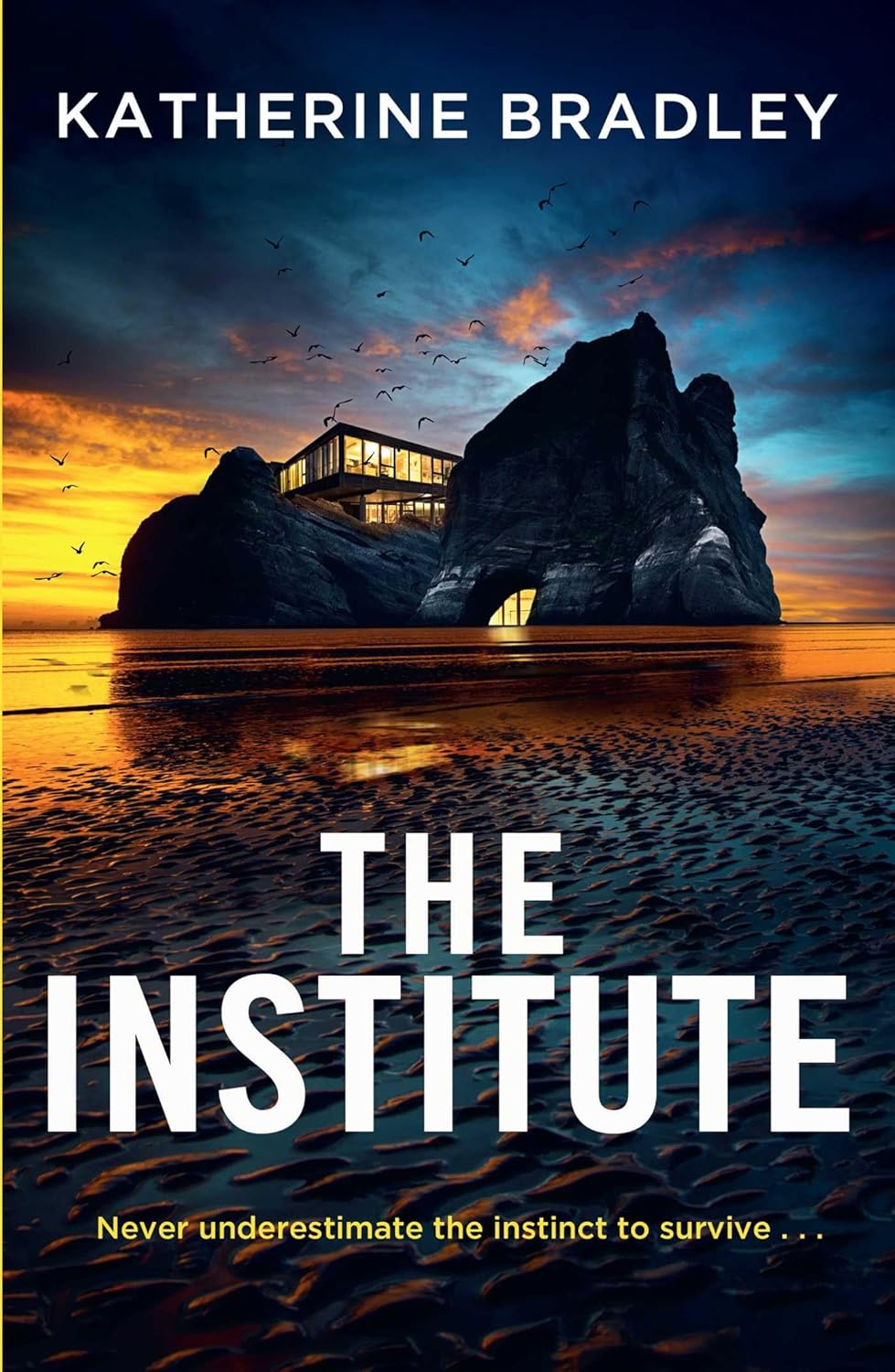 The Institute (Kindle Edition)