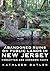Abandoned Ruins on Public Lands in New Jersey: Forgotten and Unknown Pasts