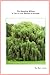 The Weeping Willow