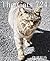 The Cats 724 (Japanese Edition)