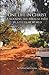 One Life in Christ: Choosing the Biblical Path in a Secular World