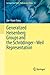 Generalized Heisenberg Groups and the Schrödinger–Weil Representation (Springer Asia Pacific Mathematics Series, 16)