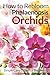 How to Rebloom Phalaenopsis Orchids: Simple Care Guide for Beginners
