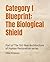 Category I Blueprint: The B...