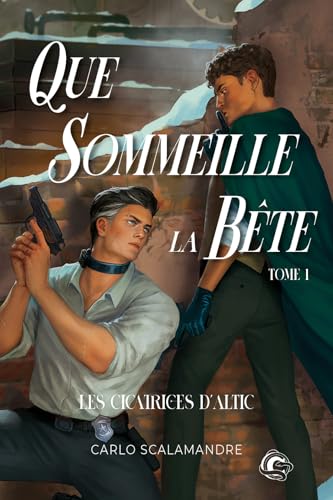 Que sommeille la Bête (Les Cicatrices d'Altic, #1)
