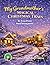 My Grandmother's Magical Christmas Train: Uncle Santa And The Magic Hot Chocolate