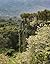 Geoffrey Bawa: Architecture...