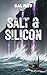 Salt & Silicon by Sal Riff