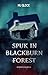 Spuk in Blackburn Forest: Warren Turner #10 (Warren Turner - Spukhausgeschichten) (German Edition)