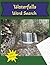 Ontario Waterfalls: Word Search
